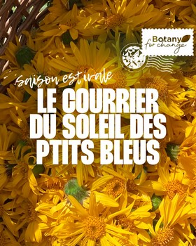 Courrier soleil des p'tits bleus