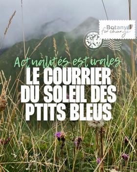 Instagram - Courrier soleil des p'tits bleus numéro 3