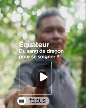 Instagram - Equateur : Du sang de dragon pour se soigner ?