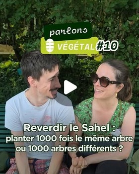 Instagram - Parlons Végétal #10 Microtrottoir