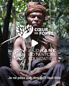 Instagram - Coeur de forêt : la forêt comme pharmacie