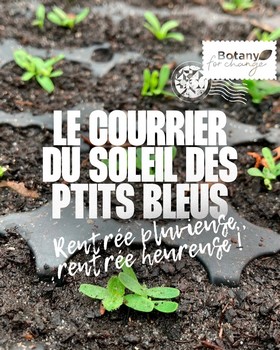 Instagram - Courrier soleil des p'tits bleus numéro 4