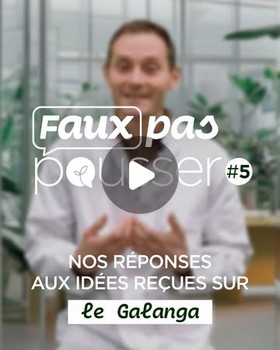 Instagram - Faux pas pousser #5