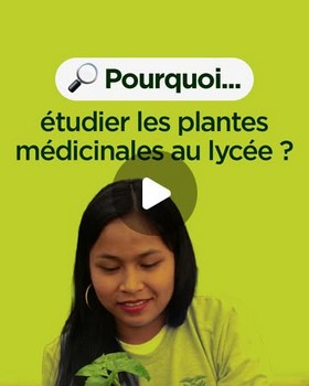 Etudier les plantes médicinales au lycée