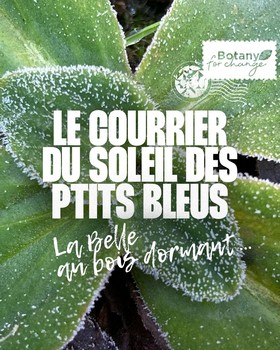 Instagram - Courrier soleil des p'tits bleus numéro 5