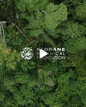 Instagram - La santé commence avec les plantes