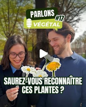 Instagram - Micro-trottoir #17 pouvez-vous reconnaître ces plantes ?