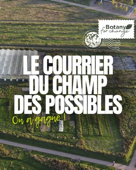Instagram - Le courrier du champ des possibles #1