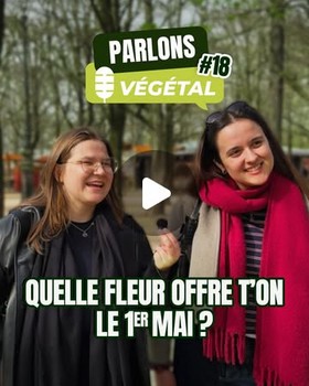 Instagram - Micro-trottoir #18 quelle fleur offre-t-on le 1er mai