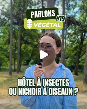 Instagram - Micro-trottoir#19 Hôtel à insectes ou nichoir à oiseaux