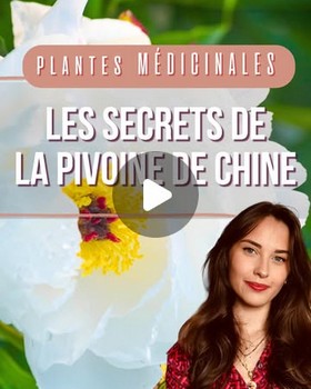 Instagram - Les secrets de la pivoine de Chine