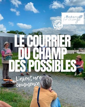 Instagram - Le courrier du champ des possibles #2