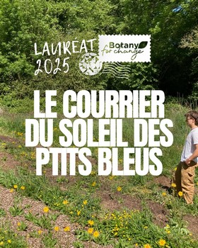 Instagram - Courrier soleil des p'tits bleus numéro 6