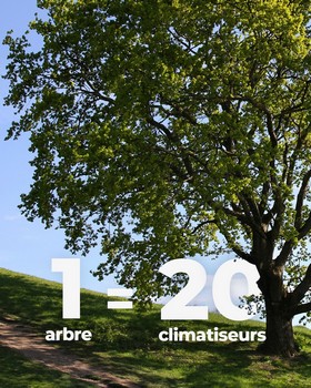 Instagram - 1 arbre = 20 climatiseurs