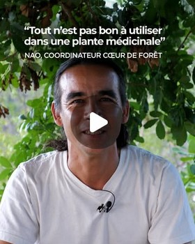 Instagram - Mais où se cachent les vertus d'une plante ?