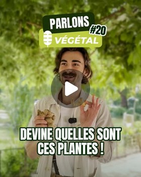 Instagram - Micro-trottoir#20 Devine quelles sont ces plantes
