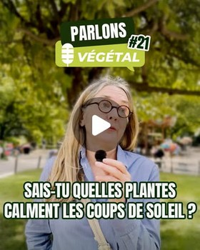 Instagram - Micro-trottoir#21 Sais-tu quelles plantes calment les coups de soleil ?