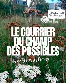  Instagram - Le courrier du champ des possibles #3