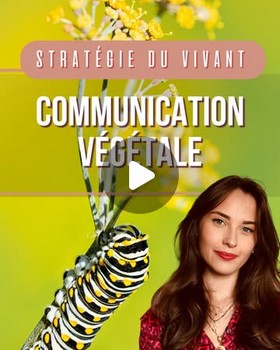 Instagram - Drôle de biologiste - Communication végétale