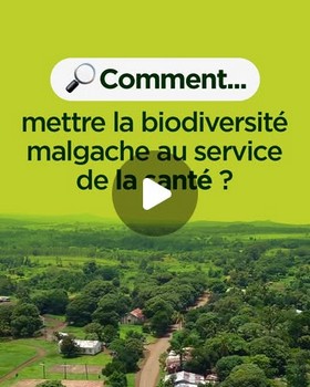 biodiversite malgache