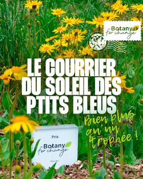 Courrier soleil des p'tits bleus