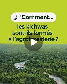 kichwas