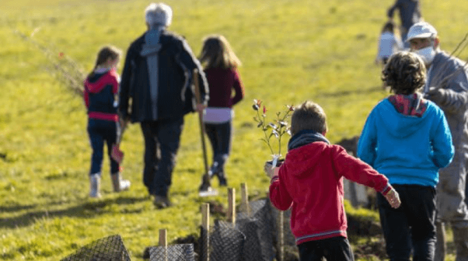 Quand les écoliers plantent des arbres