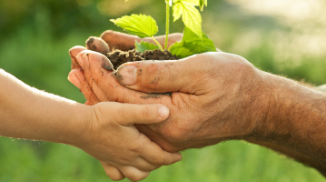 Comment préserver la biodiversité ?