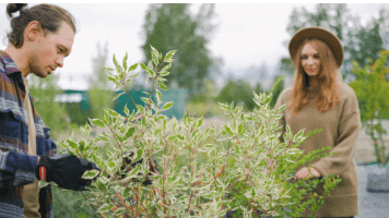 homme et femme dans un jardin