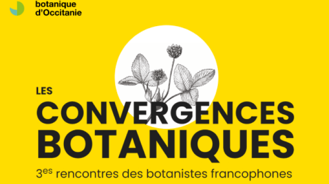 Convergences botaniques