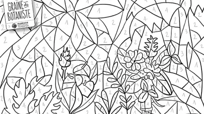 Dessin