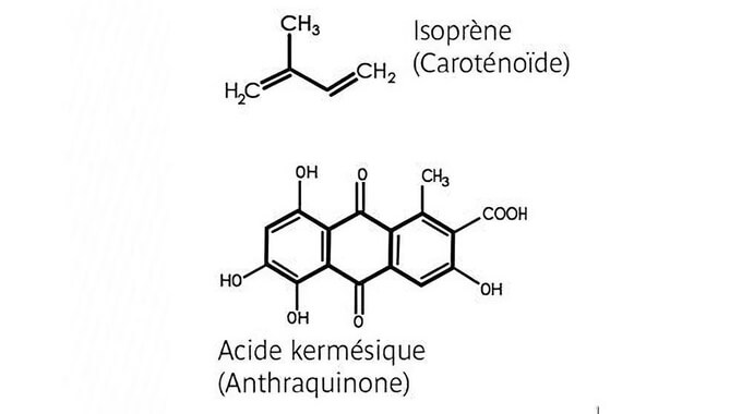 Caroténoïdes