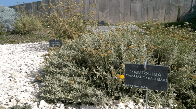 Un jardin pédagogique