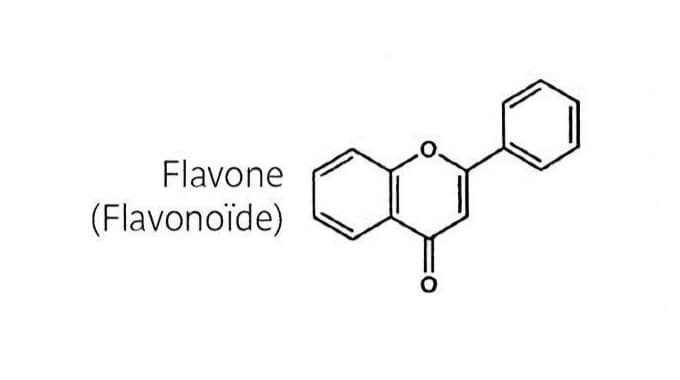 Flavonoïdes 