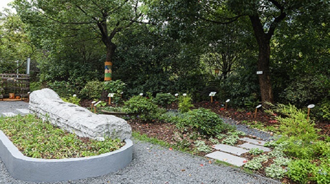 Une vision inspirée du monde des abeilles